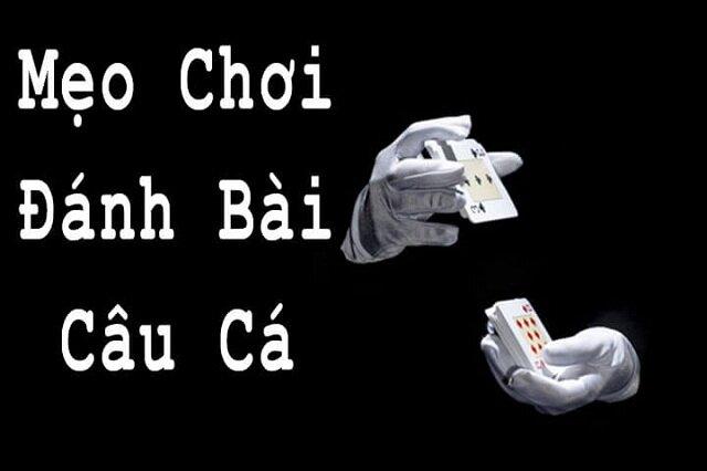 Thẻ câu cá có bao nhiêu lá bài? Quy tắc chia bài câu cá đơn giản - Gamebai88