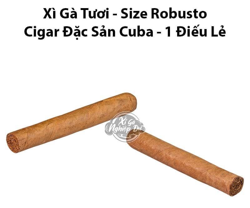 Bán xì gà Robusto tươi – xì gà đặc sản Cuba