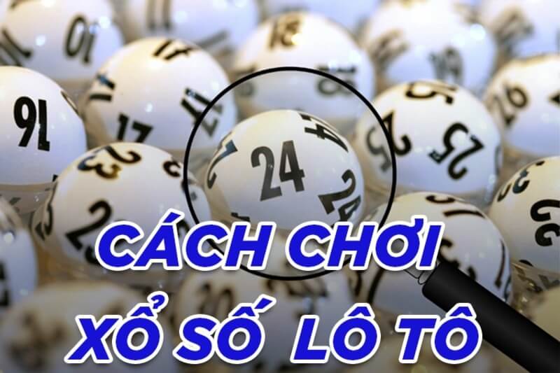 Lotto là gì? Hướng dẫn cơ bản về Lotto cho người mới bắt đầu