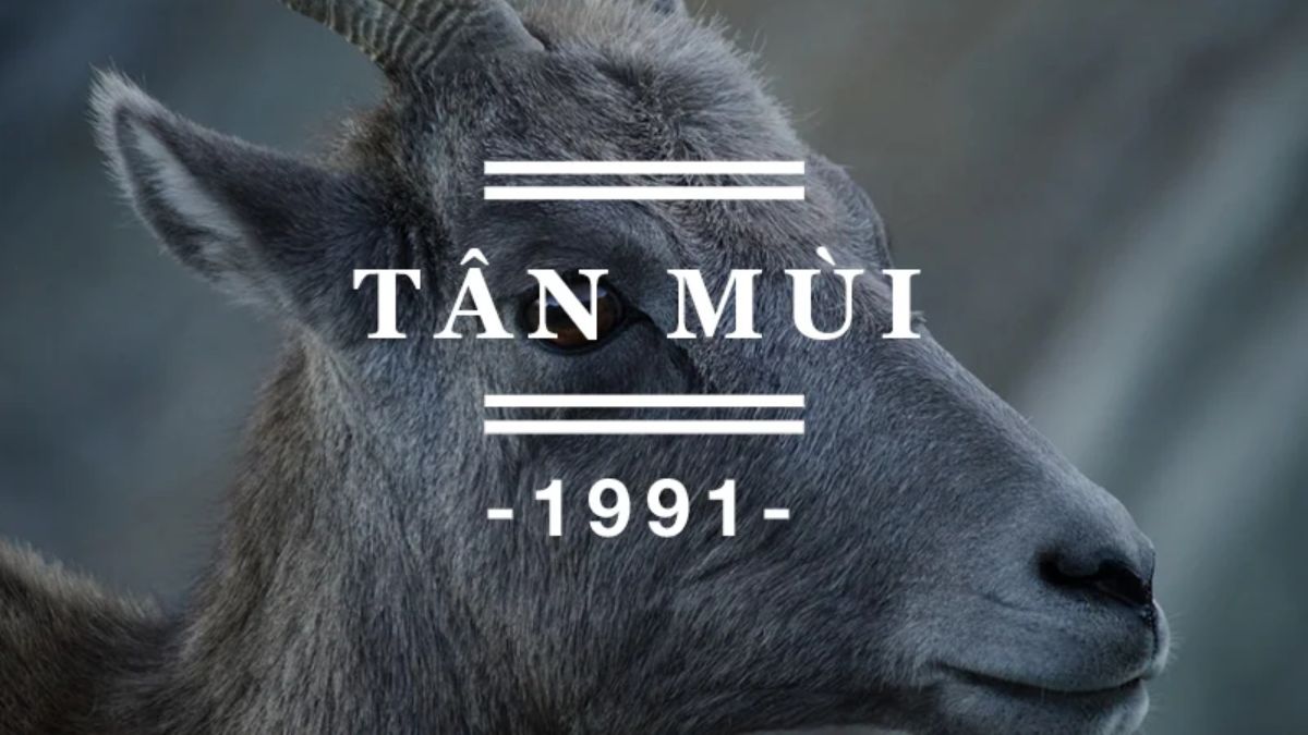sinh năm 1991 hợp cây gì