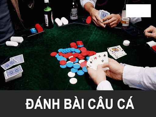 Hướng Dẫn Cách Chơi Bài Câu Cá Hiệu Quả Dành Cho Người Mới